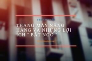 Thang máy nâng hàng và những lợi ích ” bất ngờ “